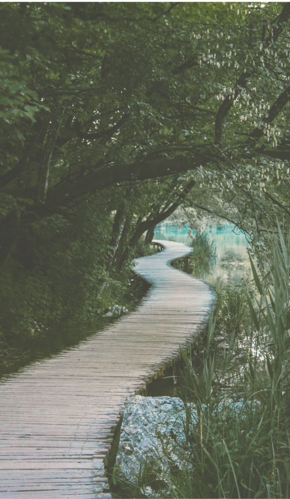 Waterway Path - lightened