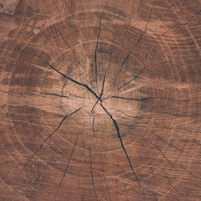 Cross-section 2 - brown