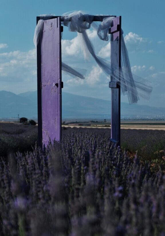 Lavendar door
